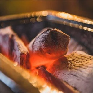 Which charcoal is best for BBQ?