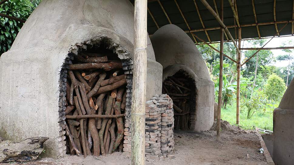 Bamboo Culms