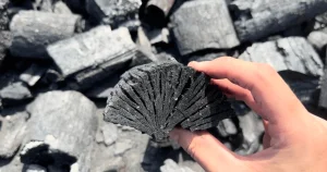 The Key Factors When Purchasing Lump Charcoal
