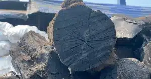 7 Steps To Producing Hardwood Lump Charcoal